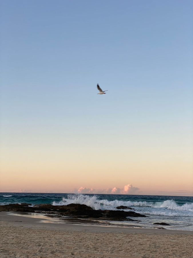 Why Is Everyone Else Doing Great? And Other Quarter-Life Crisis Thoughts